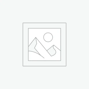 Artikel 1 Test